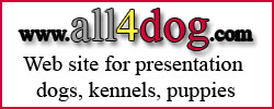 all4dog: www.all4dog.com : Web site for presentation dogs, kennels, puppies