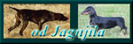 Baner on site all4dog.com :: od Jagnjila